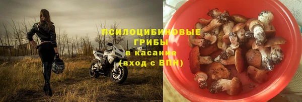 spice Куйбышев