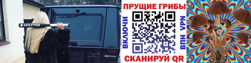 это состав Шацк Галлюциногенные грибы мицелий